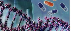 analise-de-dna-joao-pessoa-1411736853
