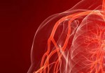 angiologia-joao-pessoa-1411736919