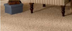 carpetes-joao-pessoa-1411589089