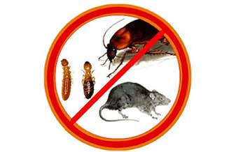 Equilíbrio Ambiental Controle de Pragas E Vetores - Foto 1