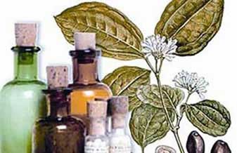 Farmacia Homeopatica Homeovitae - Foto 1