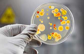 Evanizio Roque de Arruda Junior - Foto 1