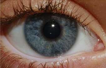 Centro de Diagnóstico de Iridologia - Foto 1