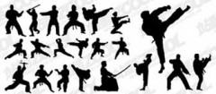 kung-fu-joao-pessoa-1411666581