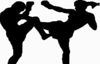 Equipe Luna de Muay Thai - Foto 1