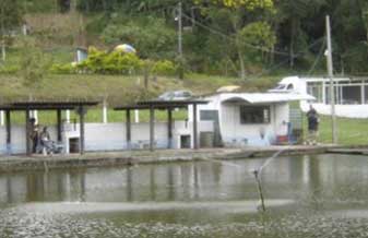 Pesqueira do Nordeste - Foto 1