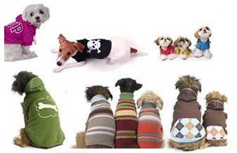 Pet Shop Bicho Travesso - Foto 1