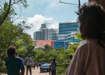 Concurso SMS João Pessoa PB