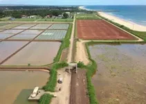 lançamento irregular de esgotos