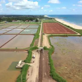 lançamento irregular de esgotos