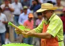 Festival Forró Verão
