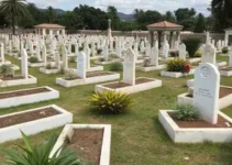 manutenção e limpeza em cemitérios públicos