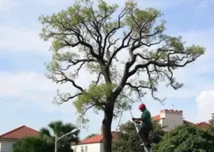 Últimas noticias de João Pessoa