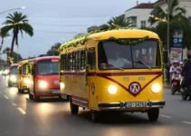 Festa das Neves 2026