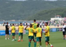 jogo do Brasil contra a Noruega