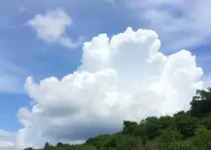 previsão do tempo em João Pessoa (PB)