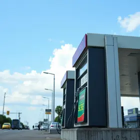 gasolina