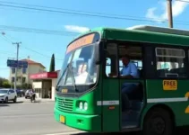 ônibus gratuito João Pessoa 2026